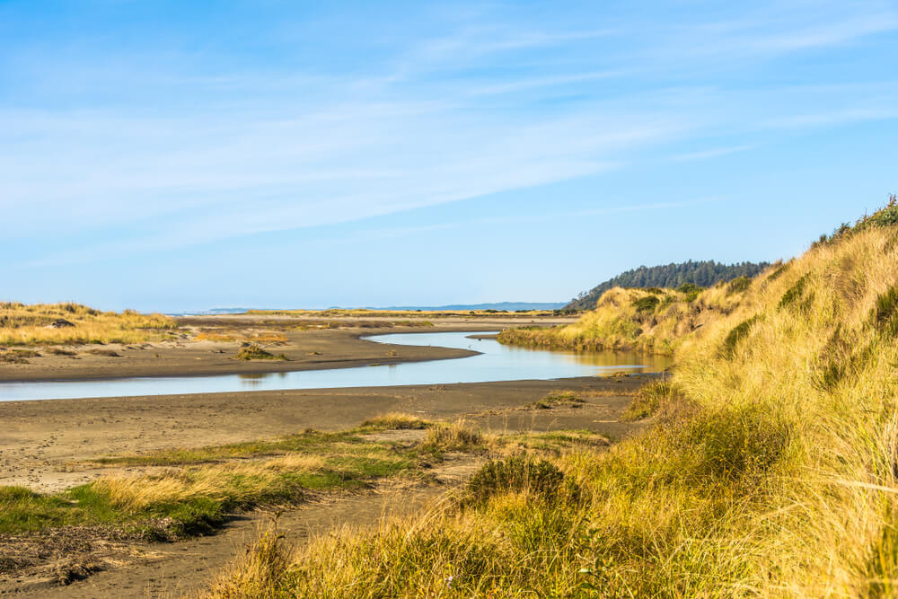 The view of an state park near Ocean Shores.